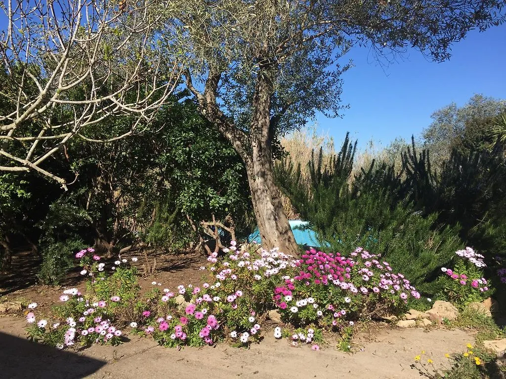 Casa vacanze Salondra Hotel Alghero